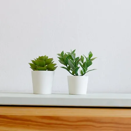 Balcon De Brano * O Freixo