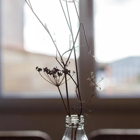 Balcon De Brano 度假居 *