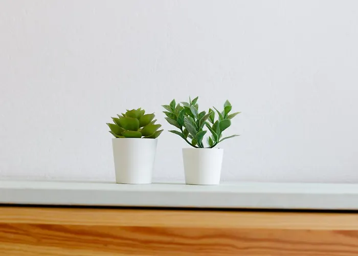 Balcon De Brano * O Freixo